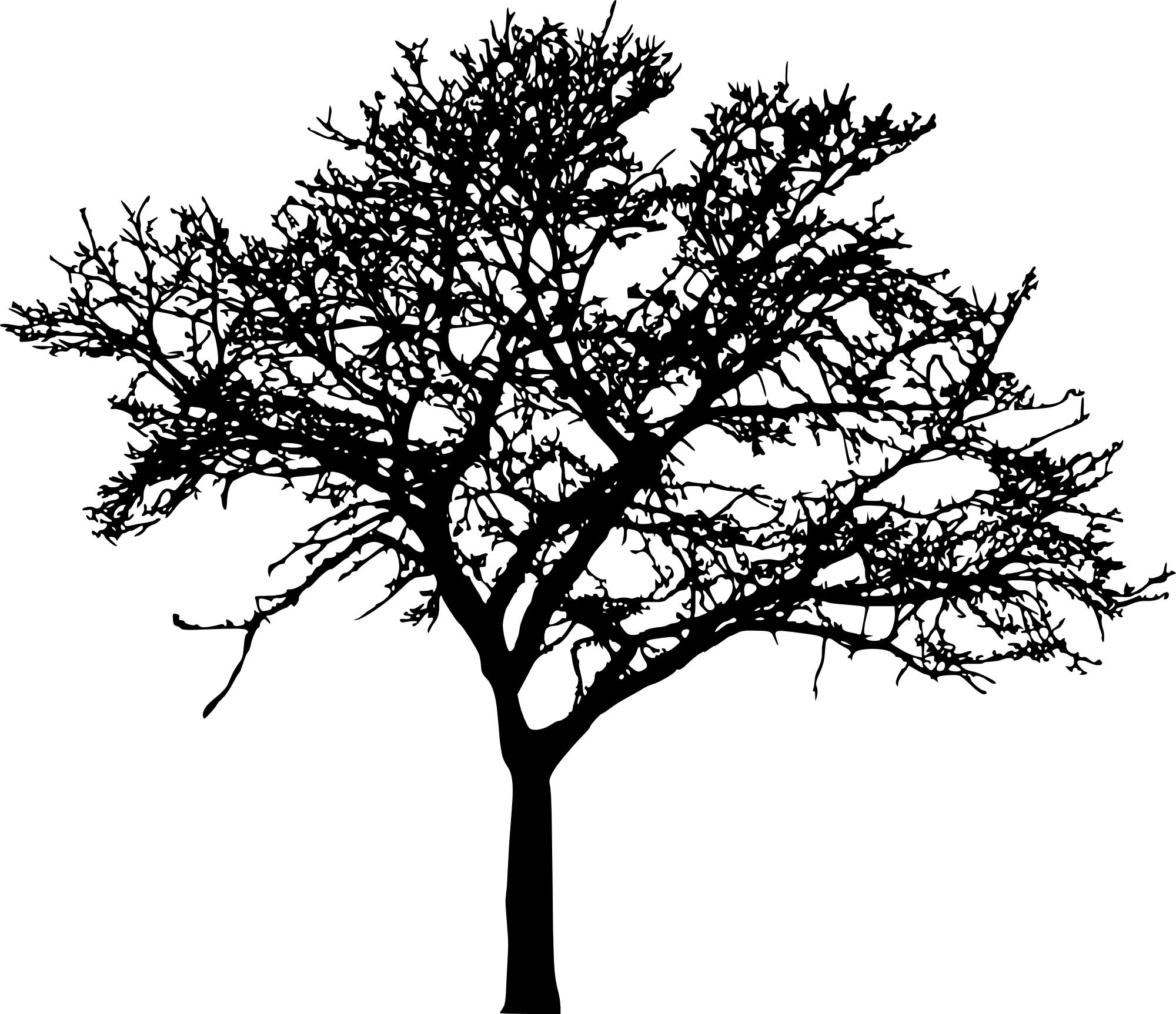 tree-silhouette-2-2